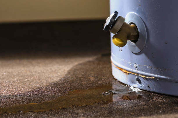 Best Water damage restoration near me  in Massanetta Springs, VA