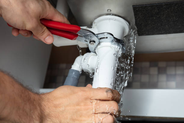 Best Water damage cleanup near me  in Massanetta Springs, VA