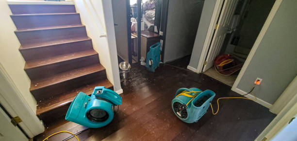 Best Flooded house restoration  in Massanetta Springs, VA