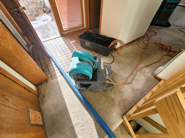Best Water damage restoration process  in Massanetta Springs, VA