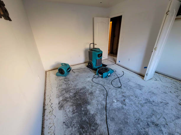Best Flood damage cleanup  in Massanetta Springs, VA