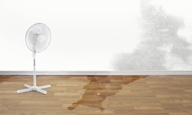  Massanetta Springs, VA Water damage restoration Pros