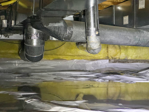 Best Flood restoration services  in Massanetta Springs, VA