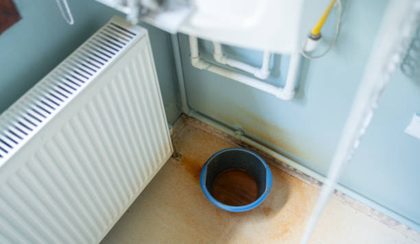 Best Flooded house restoration  in Massanetta Springs, VA