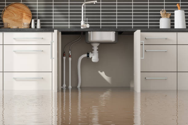 Best Mold removal after water damage  in Massanetta Springs, VA