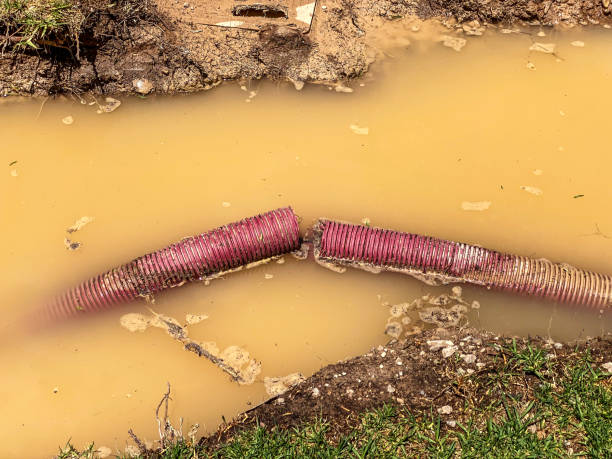 Best Sewage cleanup and water damage restoration  in Massanetta Springs, VA